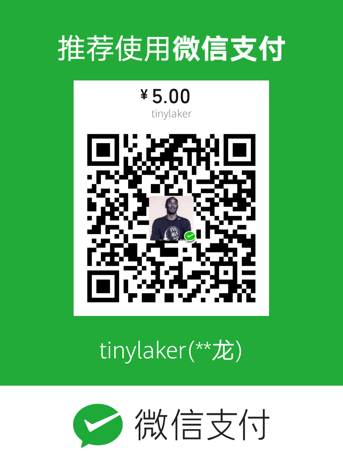 tinylaker 微信支付